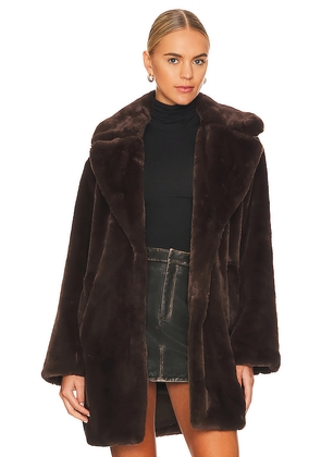 LAMARQUE Linnea Teddy Coat in Brown. Size L. Also in M.