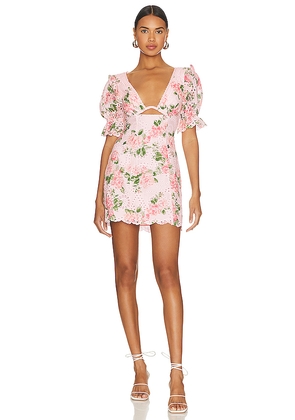 MAJORELLE Chrishelle Mini Dress in Pink. Size M. Also in XL.