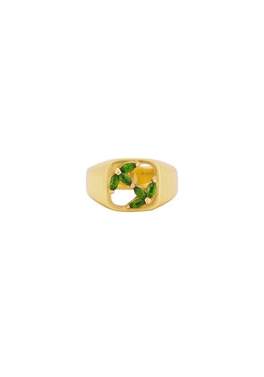 MAPLE 3am Signet Ring in Metallic Gold. Size 10. Also in 9.