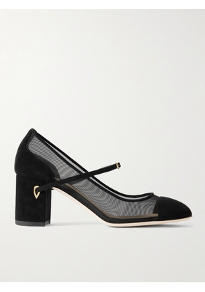 Jennifer Chamandi - Paolo 65 Mesh And Suede Pumps - Black - IT36,IT36.5,IT37,IT37.5,IT38,IT38.5,IT39,IT39.5,IT40,IT40.5,IT41,IT41.5,IT42