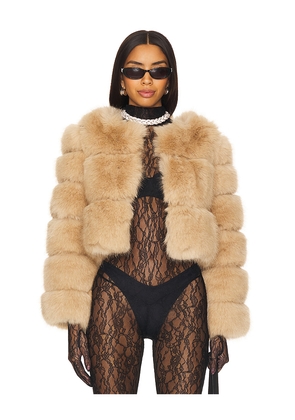 Line & Dot Liana Faux Fur Jacket in Tan. Size L. Also in XS, S, M.