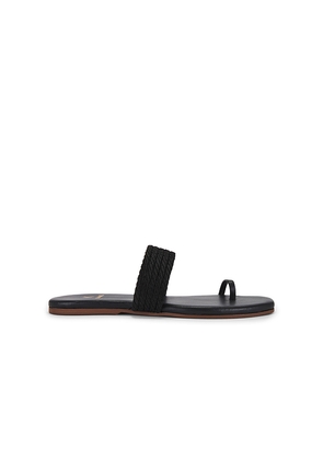 Kaanas Banderas Sandal in Black. Size 11. Also in 5.