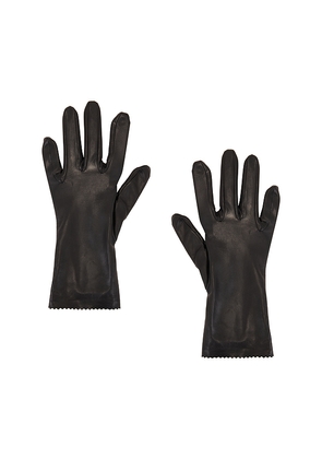 MANOKHI Short Leather Gloves in Black. Size 6.5. Also in 8.