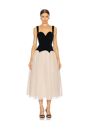 LPA Estella Midi Dress in Black,Cream. Size L. Also in M, S, XS, XXS.