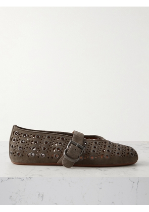 Alaïa - Eyelet-embellished Perforated Suede Ballet Flats - Gray - IT35,IT36,IT36.5,IT37,IT37.5,IT38,IT38.5,IT39,IT39.5,IT40,IT40.5,IT41