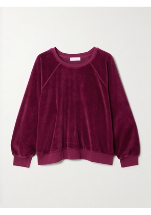 Suzie Kondi - Samos Cotton-blend Velour Sweatshirt - Burgundy - x small,small,medium,large,x large