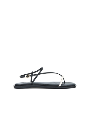 Kaanas Alayta Square Toe Sandal in Black. Size 10. Also in 6, 7, 8, 9.