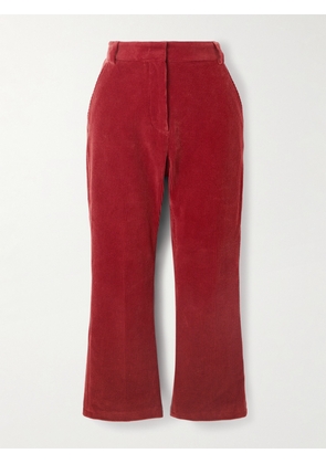 BALLY - Cotton-corduroy Flared Pants - IT36,IT38,IT40,IT42,IT44,IT46,IT48