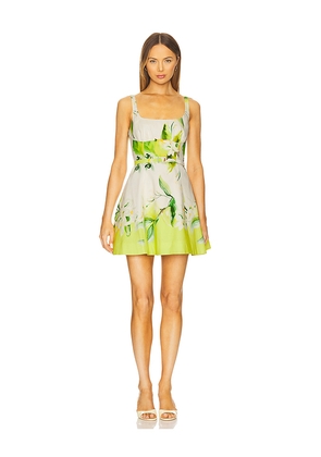 NICHOLAS Eleni Panelled Mini Dress in Ivory,Green. Size 6. Also in 8.