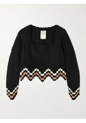 ESCVDO - Sumac Cropped Scalloped Crocheted Cotton Top - Black - x small,small,medium,large,x large