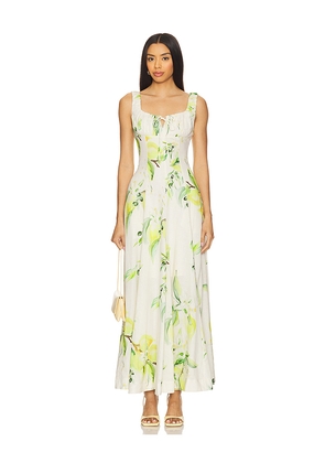 NICHOLAS Dina Maxi Dress in Neutral,Green. Size 0. Also in 2, 6.