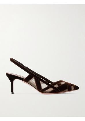 Aquazzura - Wrap Me Up 65 Velvet And Mesh Slingback Pumps - Brown - IT36,IT36.5,IT37,IT37.5,IT38,IT38.5,IT39,IT39.5,IT40,IT40.5,IT41,IT41.5,IT42