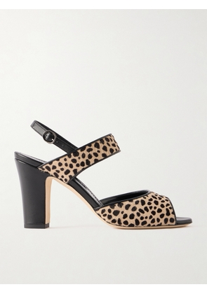 Manolo Blahnik - Khikobi 90 Leopard-print Calf-hair Slingback Sandals - Animal print - IT36,IT36.5,IT37,IT37.5,IT38,IT38.5,IT39,IT39.5,IT40,IT40.5,IT41,IT41.5,IT42,IT43