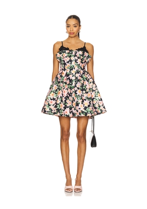 KIKA VARGAS Odile Dress in Black. Size 0. Also in 2, 4, 6, 8, 10.