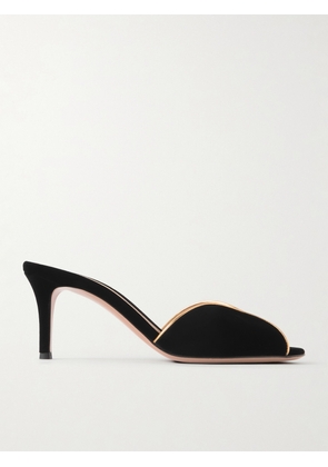 Gianvito Rossi - 70 Leather-trimmed Velvet Mules - Black - IT36,IT36.5,IT37,IT37.5,IT38,IT38.5,IT39,IT39.5,IT40,IT40.5,IT41,IT41.5,IT42