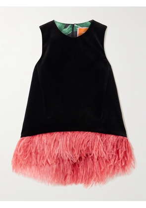 La DoubleJ - La Scala Feather-trimmed Cotton-velvet Top - Black - xx small,x small,small,medium,large,x large
