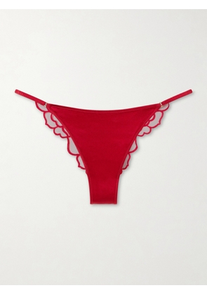 Kiki de Montparnasse - Petite Chou Embroidered Lace Briefs - x small,small,medium,large