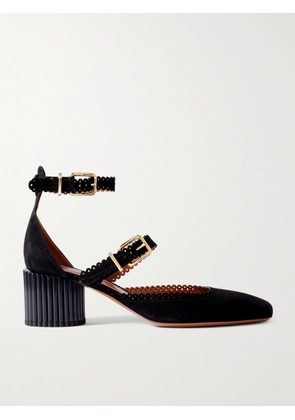 Zimmermann - Eddie Scalloped Suede Mary Jane Pumps - Black - IT36,IT37,IT38,IT39,IT40