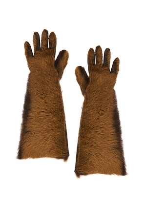 Magda Butrym Leather Gloves in Brown.
