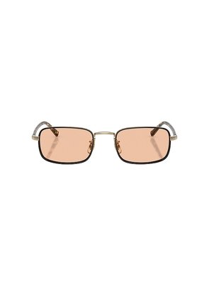 Oliver Peoples Brymer Sunglasses in Brown.