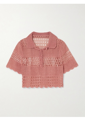 Zimmermann - Wanderlust Sun Crocheted Cotton-blend Top - Pink - 00,1,2,3,4
