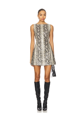 Line & Dot Python Mini Dress in Grey. Size L. Also in S, XS, M.