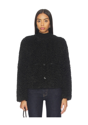 LAMARQUE Emilia Jacket in Black. Size L. Also in XS, S, M, XL.