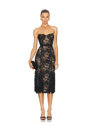 LOBA Lucienne Lace Midi Dress in Black. Size L. Also in XXS, XS.