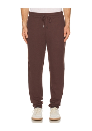 onia Waffle Jogger in Brown. Size L. Also in S, M, XL/1X.