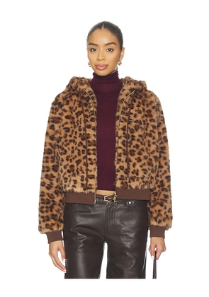 Le Superbe Windward Hoodie in Brown. Size L. Also in XS, S, M.