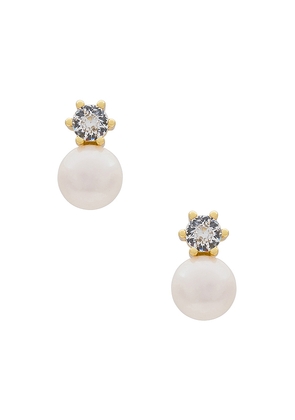SHASHI Bliss Stud Earrings in Metallic Gold.