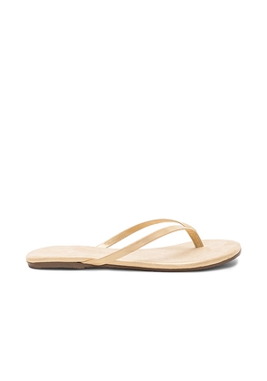 TKEES Glitters Flip Flop in Metallic Gold. Size 10. Also in 6, 7, 8, 9, 5, 11.