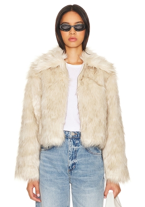 Steve Madden Juniper Faux Fur Coat in Cream. Size M. Also in S, XL.