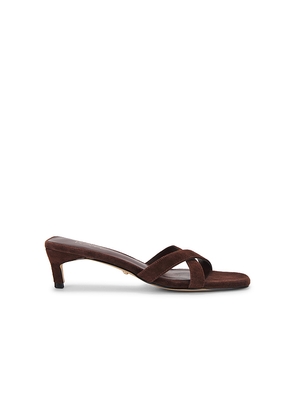 RAYE Shea Sandal in Brown. Size 7. Also in 7.5, 8, 8.5, 9.5.