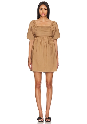 Steve Madden Inara Dress in Brown. Size L. Also in M.