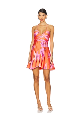 ROCOCO SAND Mini Dress in Orange. Size L. Also in S, XXS, XS, M, XL.