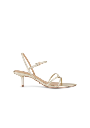 Tony Bianco Florida Sandal in Metallic Gold. Size 5. Also in 5.5, 6, 6.5, 7, 7.5, 8, 8.5.