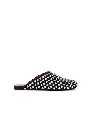 Steve Madden Glimmer Flat in Black. Size 6. Also in 6.5.