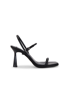 Steve Madden Zenn Sandal in Black. Size 10. Also in 6.5, 7.5, 8.5, 9.5.