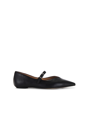 Sam Edelman Noa Flat in Black. Size 9.5. Also in 10.