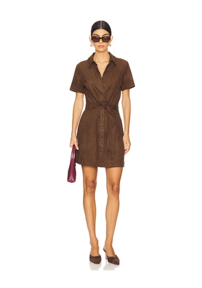 Steve Madden Jolene Dress in Brown. Size XL. Also in XS.