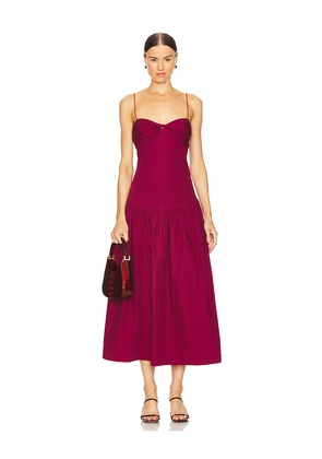 SWF Fitted Midi Dress in Wine. Size L. Also in M.
