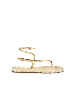 Paris Texas Hydra Flat Sandal in Metallic Gold,Neutral. Size 37. Also in 39.