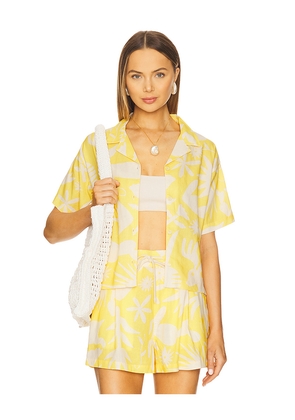 Sendero Provisions Co. Isla Top in Yellow. Size L. Also in XS, S, M, XL/1X.