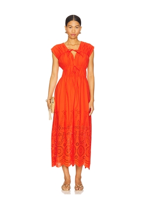 Steve Madden Clementina Dress in Orange. Size M. Also in S, XL.