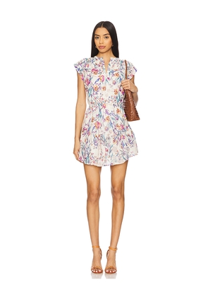 Steve Madden Faith Dress in Ivory. Size L. Also in S, M.