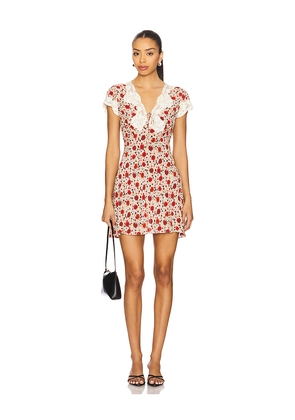 RIXO Lacie Dress in Pink,Red. Size XL. Also in XXS, XS.