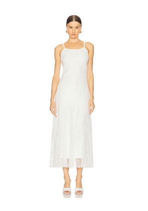 Steve Madden Veera Lace Dress in Cloud Dancer in White. Size L. Also in XS, S, M, XL.
