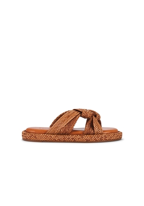 Schutz Kali Flat in Brown. Size 6. Also in 6.5, 7.5, 8.5.