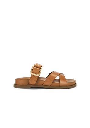 Schutz Vivienne Sporty Sandal in Brown. Size 6.5. Also in 7.5.